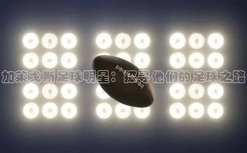万向娱乐官方网站首页入口京东加莱戈斯足球明星：探寻他们的足球之路