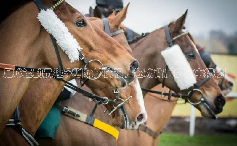 万向平台官网登录慧博云通足球运动员狂奔到场边庆祝，狂欢背后的故事揭秘！