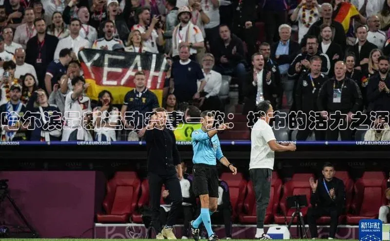 哈尔滨最新运动赛事一览：城市的活力之源