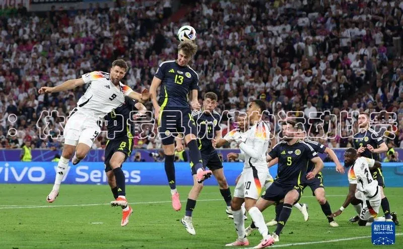 ：体坛中最具价值的运动比赛