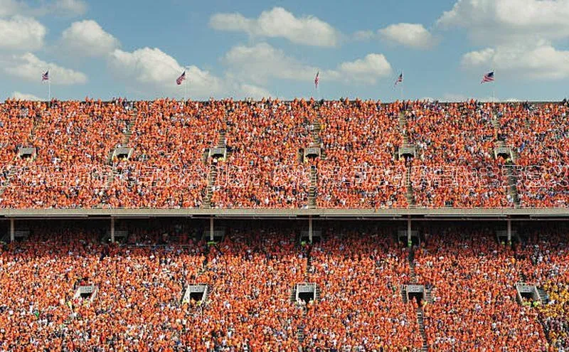 提升竞技精神与技术创新：探讨汽车运动赛事的主要意义