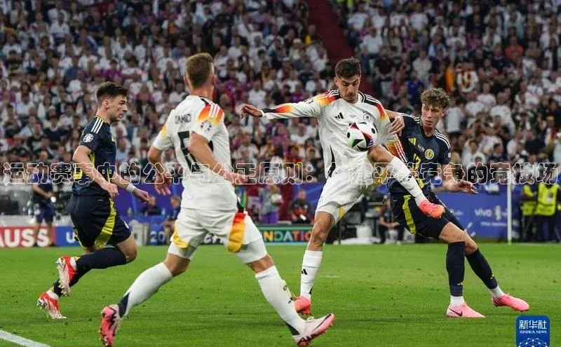 运动赛事中的公平与公正原则：构建平等竞争的竞技场