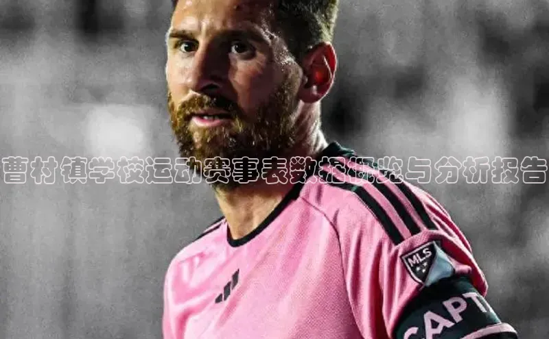 曹村镇学校运动赛事表数据概览与分析报告