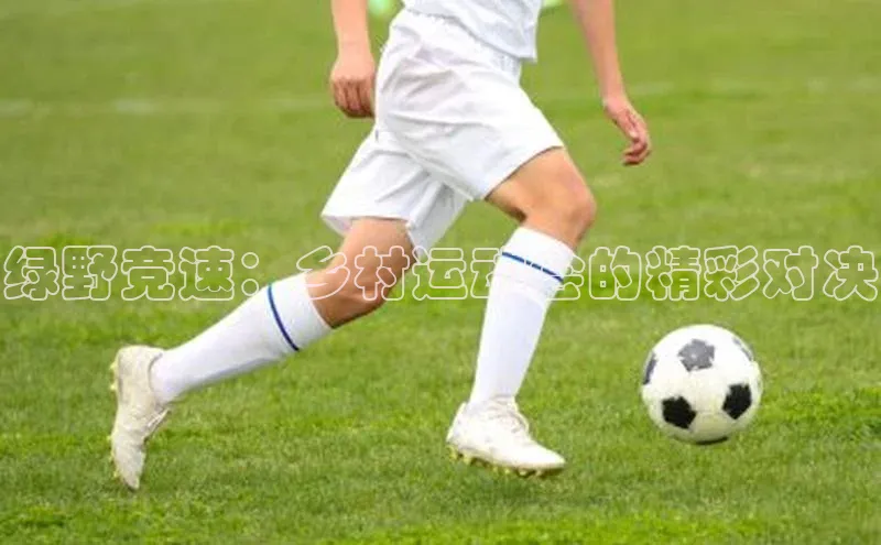 绿野竞速：乡村运动会的精彩对决