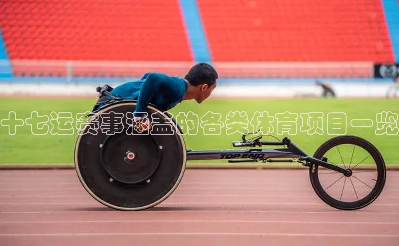 十七运赛事涵盖的各类体育项目一览