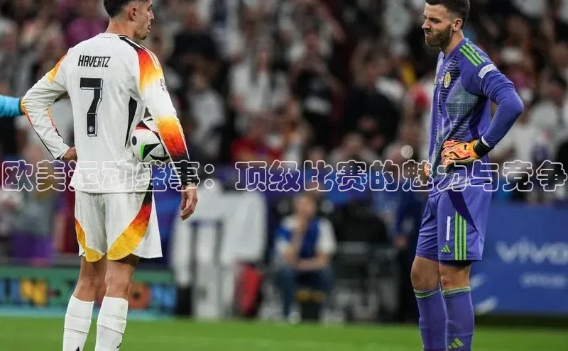 欧美运动盛事：顶级比赛的魅力与竞争