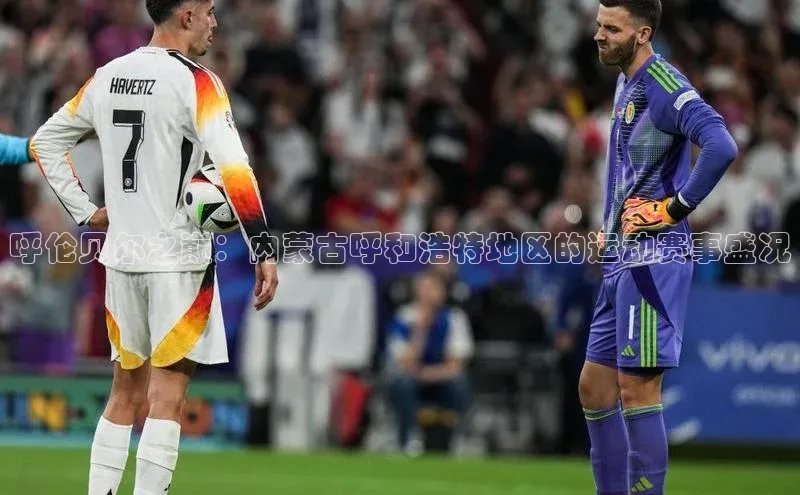 呼伦贝尔之巅：内蒙古呼和浩特地区的运动赛事盛况