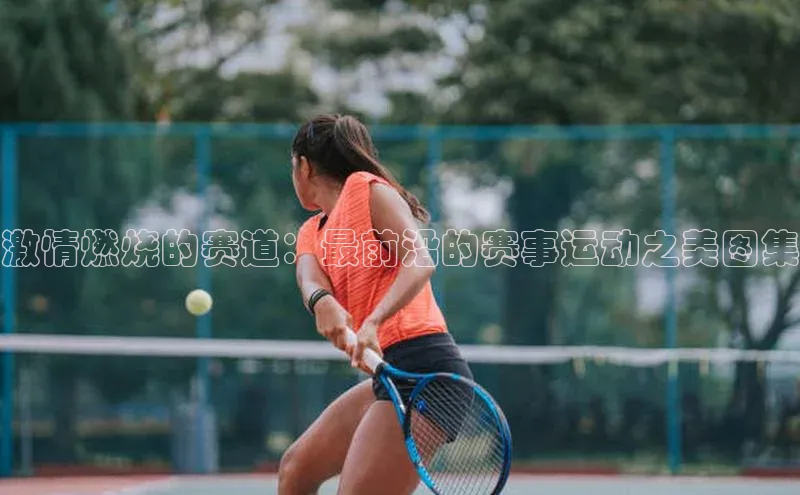 激情燃烧的赛道：最前沿的赛事运动之美图集