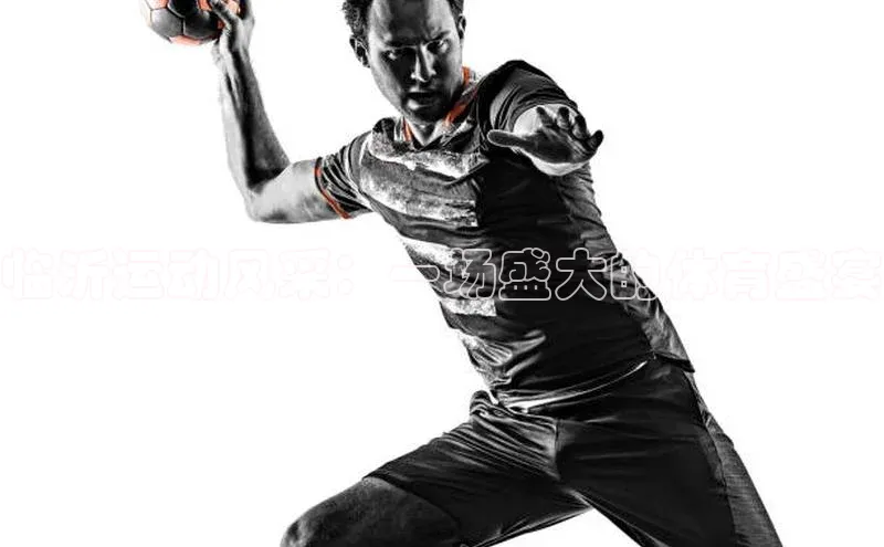 临沂运动风采：一场盛大的体育盛宴