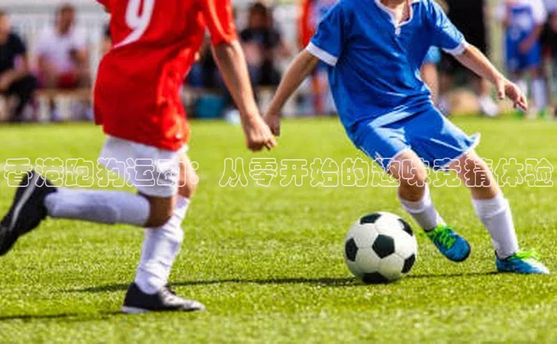 香港跑狗运动：从零开始的趣味竞猜体验