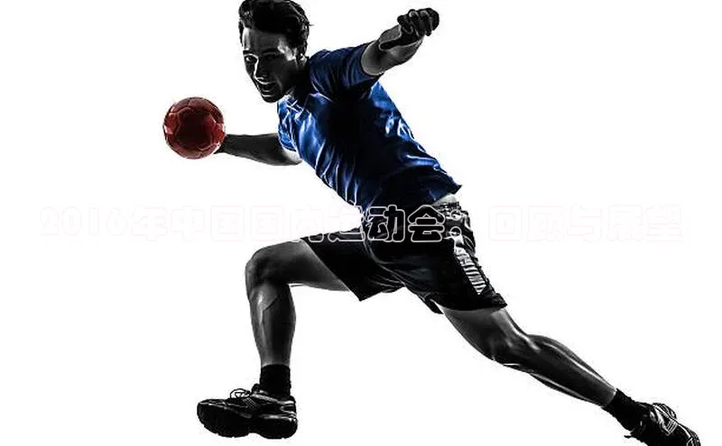 2016年中国国内运动会：回顾与展望