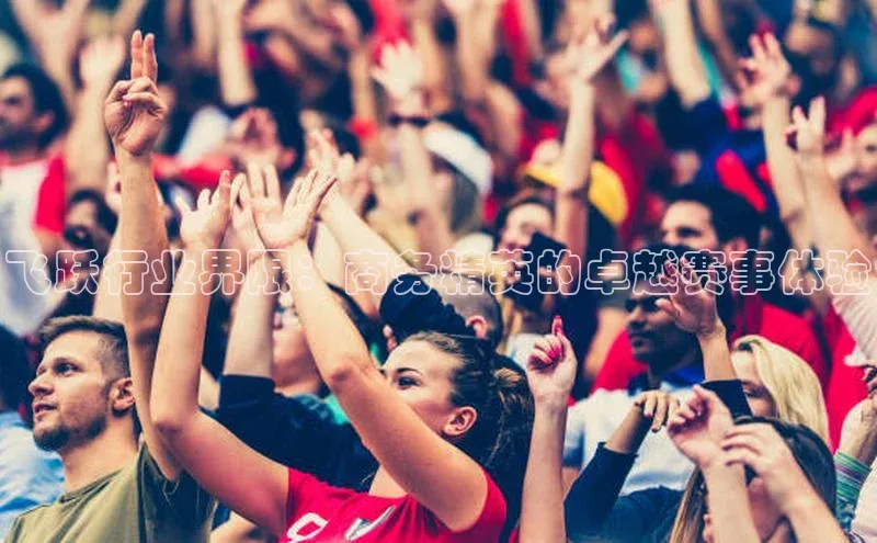 飞跃行业界限：商务精英的卓越赛事体验