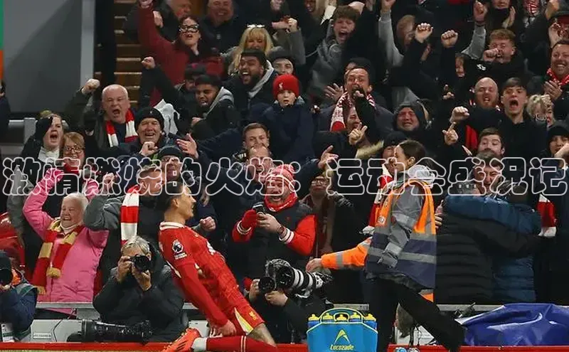 激情燃烧的火焰：运动会盛况记