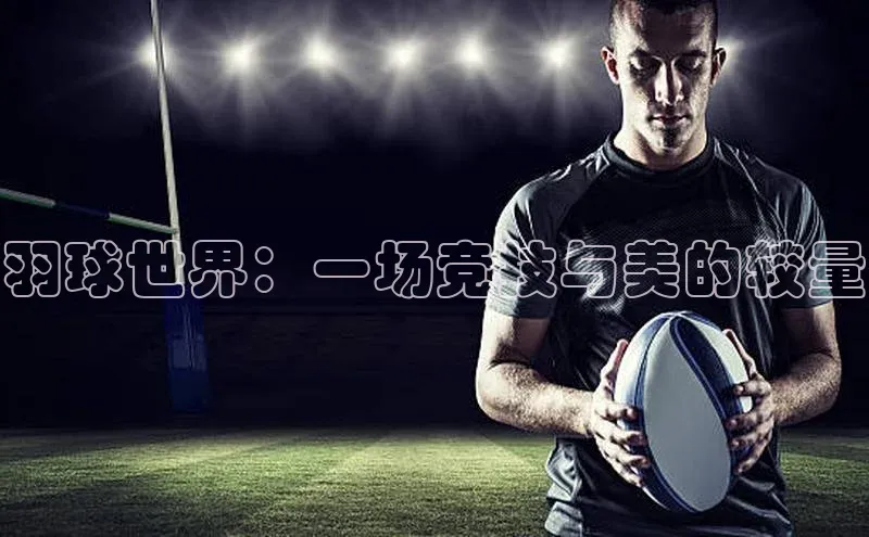 羽球世界：一场竞技与美的较量
