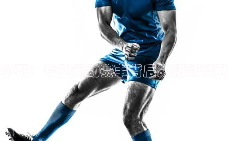 万向娱乐官方网站