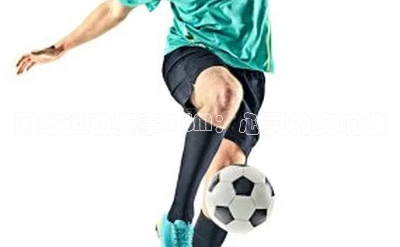 万向娱乐官方网站首页入口