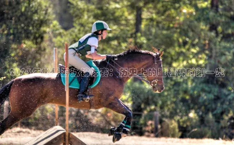 2023年世界游泳锦标赛：历史上的里程碑时刻一览