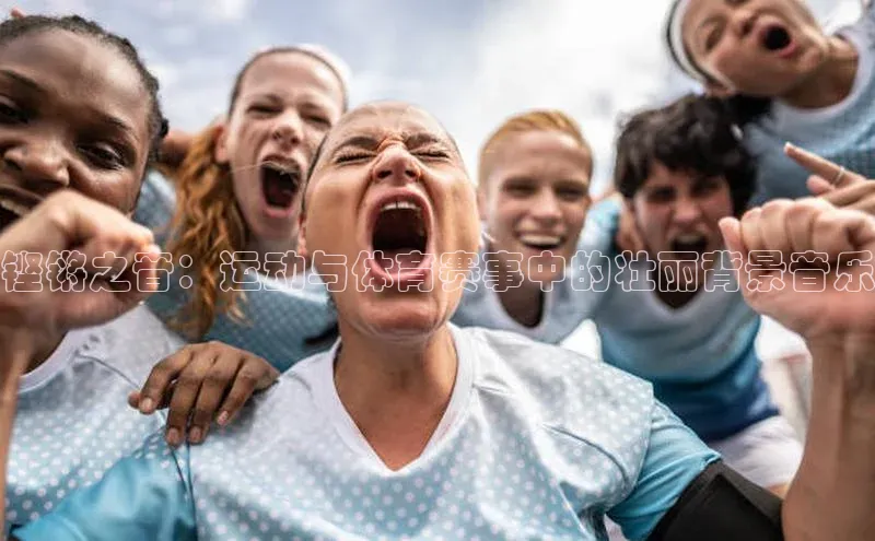 万向娱乐官方网站