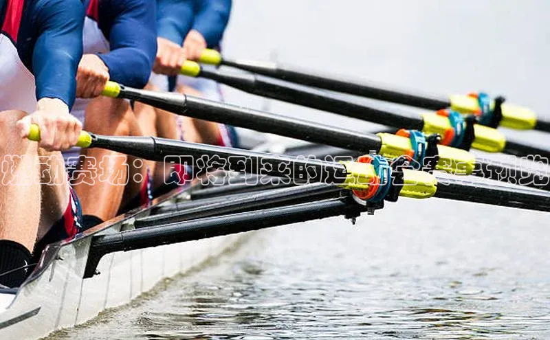 万向娱乐平台官网入口