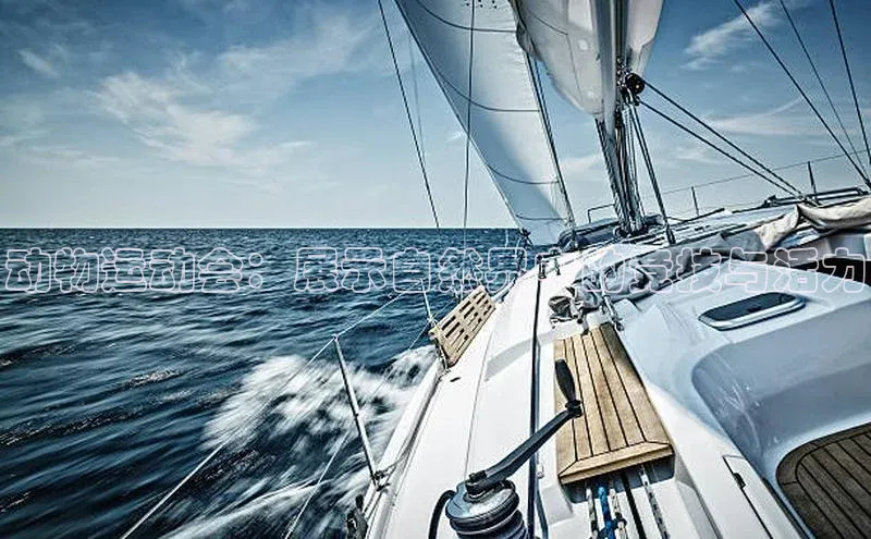 万向娱乐官方网站首页入口